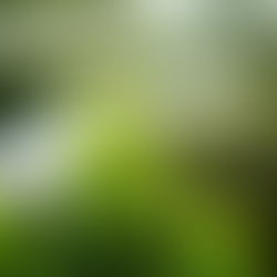 How Brandville Group Transformed a Local Business into a National Brand