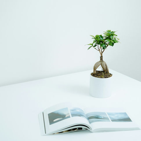 Mistakes to Avoid in Your Pro-Aging Skincare Routine