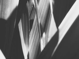 How to Create a Cohesive Online Presence Across Platforms