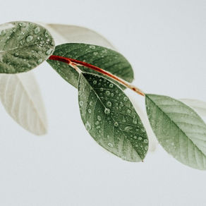 The Best Branding Strategies for Small Businesses