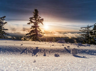 The Impact of Personal Branding on Career Advancement