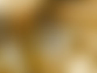 The Impact of Networking on Women's Career Growth