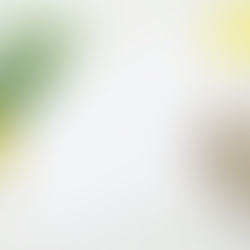 How to Use Data to Inform Your Branding Decisions