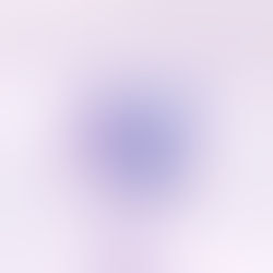 The Impact of Visual Identity on Brand Recognition