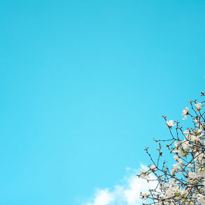 How to Measure the Success of Your Branding Efforts