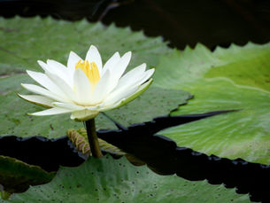 Case Study: Transforming a Personal Brand for Maximum Impact