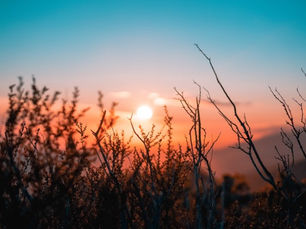 How to Use Personal Branding to Navigate Career Transitions
