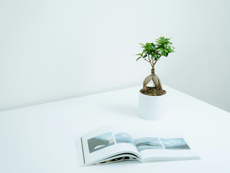 How to Build a Personal Brand as a Woman Leader