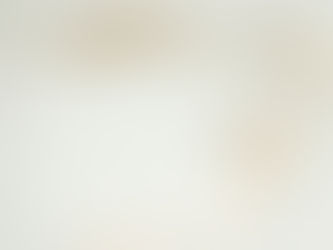 Why Every Woman Needs a Mentor: Insights from ispy2inspire