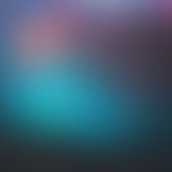 The Best SEO Software for Small Businesses: Why Rabbit SEO Stands Out