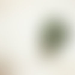 Best Practices for Effective Brand Positioning