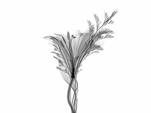 The Best Personal Branding Courses Available Online