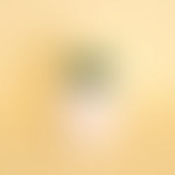 The Benefits of Joining the ibrandville Online Community