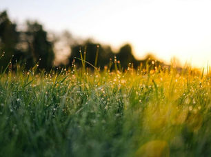 How to Use Visual Storytelling in Your Personal Brand