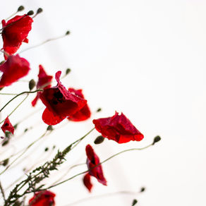 The Value of Brand Consistency Across Platforms