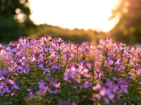 The Cost of Leadership Development: Is it Worth It