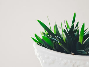 How to Enhance Your Online Image with The Refined Image