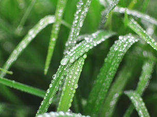 LUXERNN's Anti-Aging Skincare: A Customer's Journey