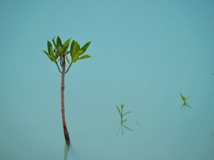 The Impact of Non-Verbal Communication on Your Brand