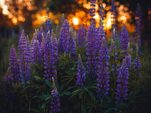 How to Build a Personal Brand That Attracts Opportunities