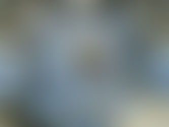 How to Find Your Tribe in a Women's Leadership Community