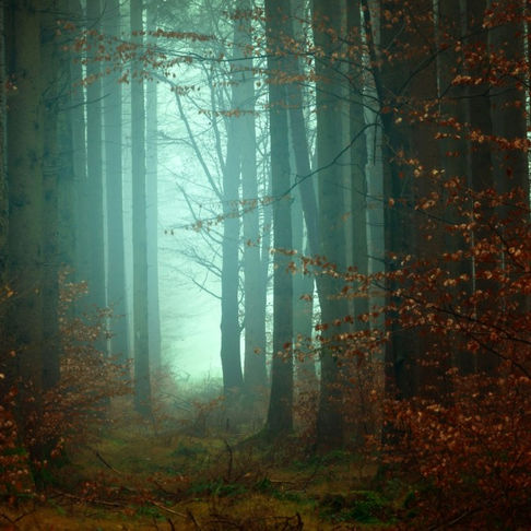 How to Choose the Right Cleanser for Your Skin Type