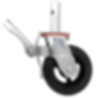 transferir (19).jpeg