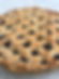 SWT Blueberry Pie Filling