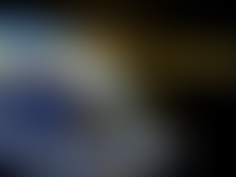 EL PLANETA Y EL FÉNIX