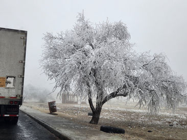 January 31: Monahans, TX to Alamogordo, NM