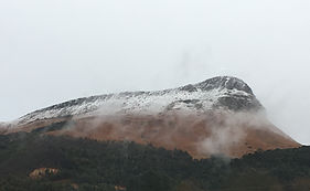 IMG_6129.jpeg