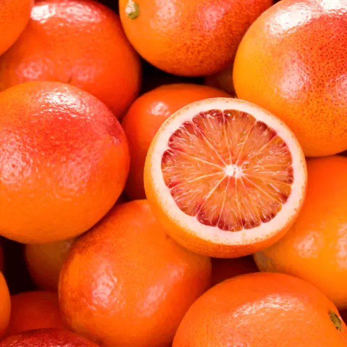 Thumbnail: Orange Tree Red Blood with ripe deep red blood oranges  Close-up of blood orange fruit hanging on tree branch