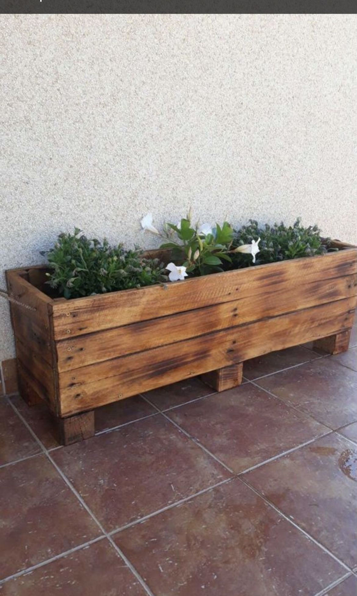 garden wood pot Abu Dhabi, indoor outdoor wood pot Sharjah, wooden flower pot UAE, decorative plant pot UAE