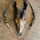 Thumbnail: Goat skull necklace