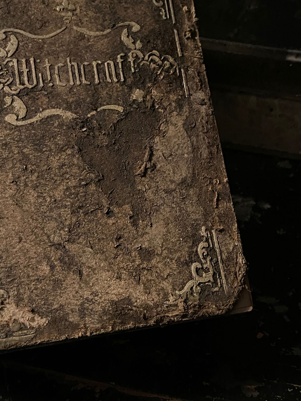 Thumbnail: Grimoire / Book of Spells Pyontee
