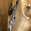Thumbnail: Goat skull necklace