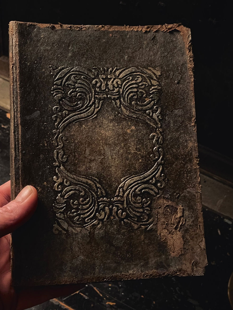 Thumbnail: Grimoire / Book of Spells Pantae
