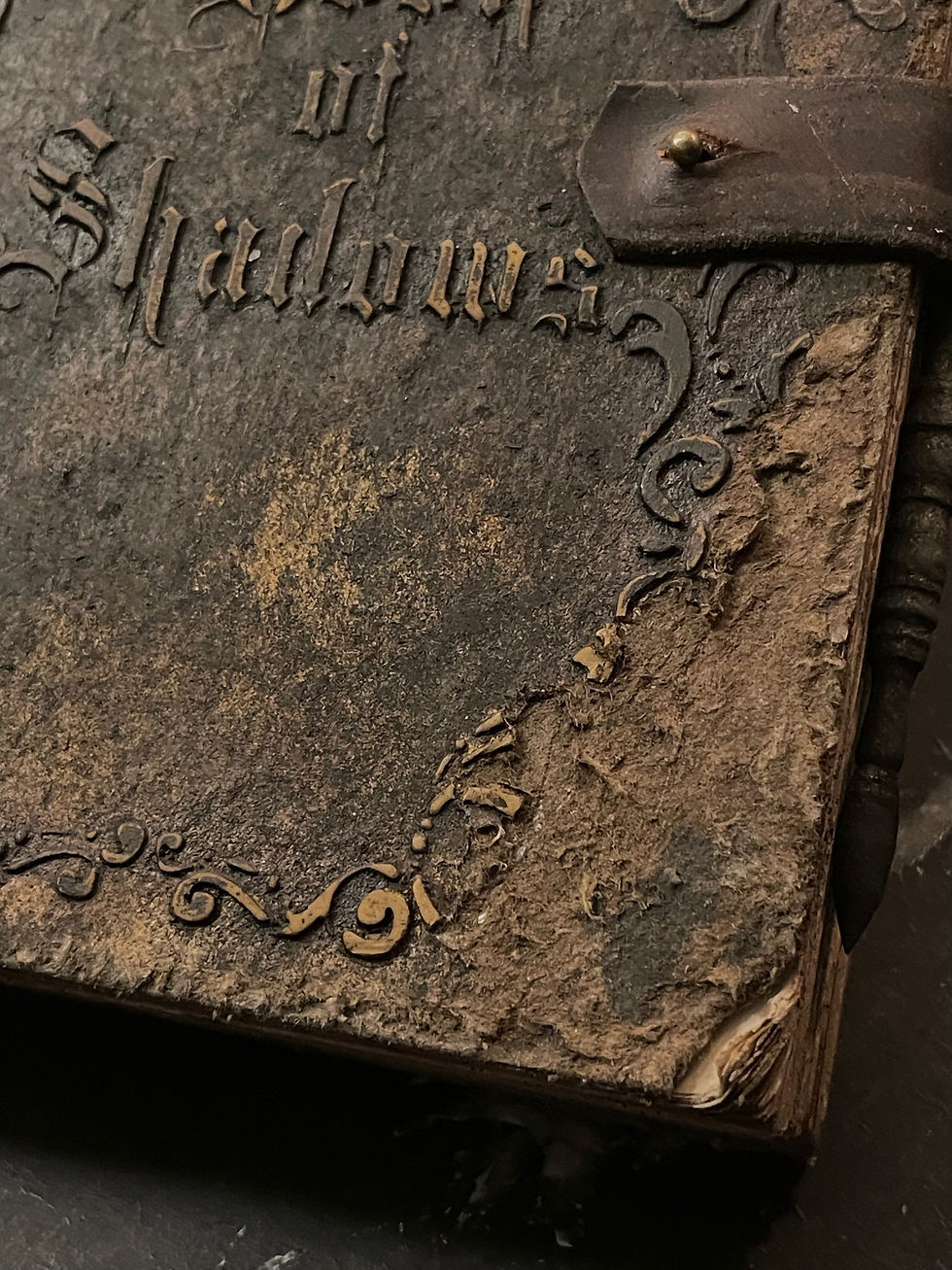 Thumbnail: Grimoire / Book of Shadows Ondry + ink pen