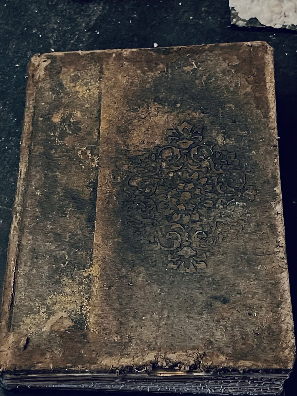 Thumbnail: Grimoire / Book of Shadows Zim