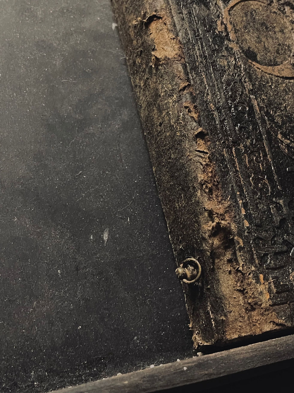 Thumbnail: Grimoire/ Book of The Night Creature