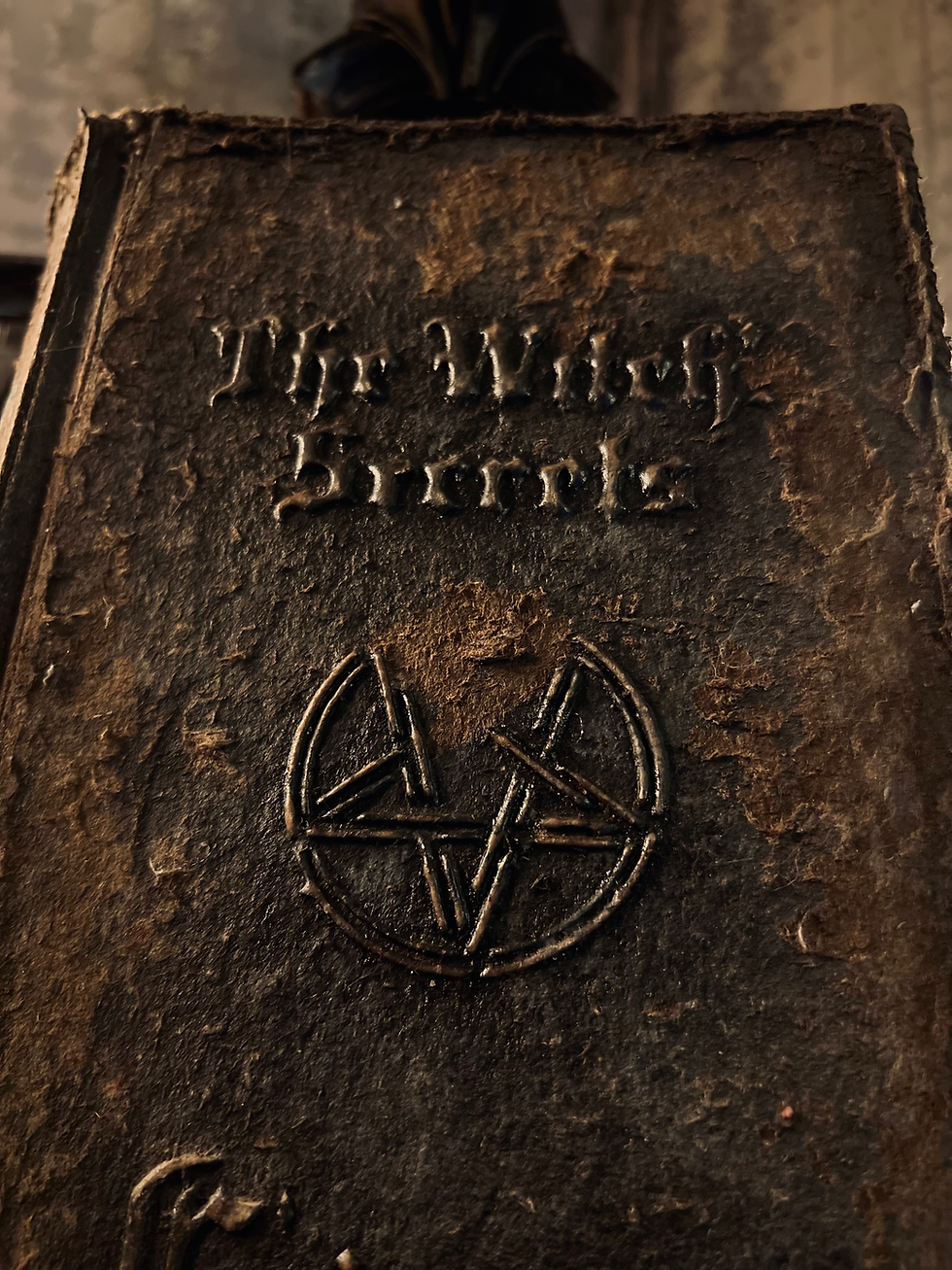 Thumbnail: Grimoire / Book of Shadows Gandrae