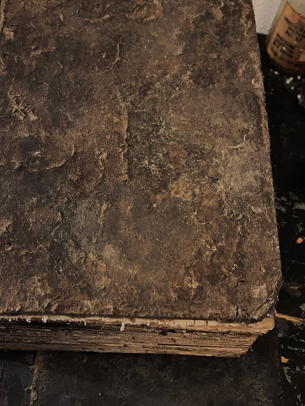 Thumbnail: Grimoire / Book of Shadows Marygorae