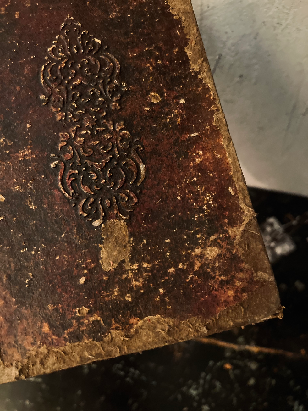 Thumbnail: Grimoire / Book of Shadows Sintae