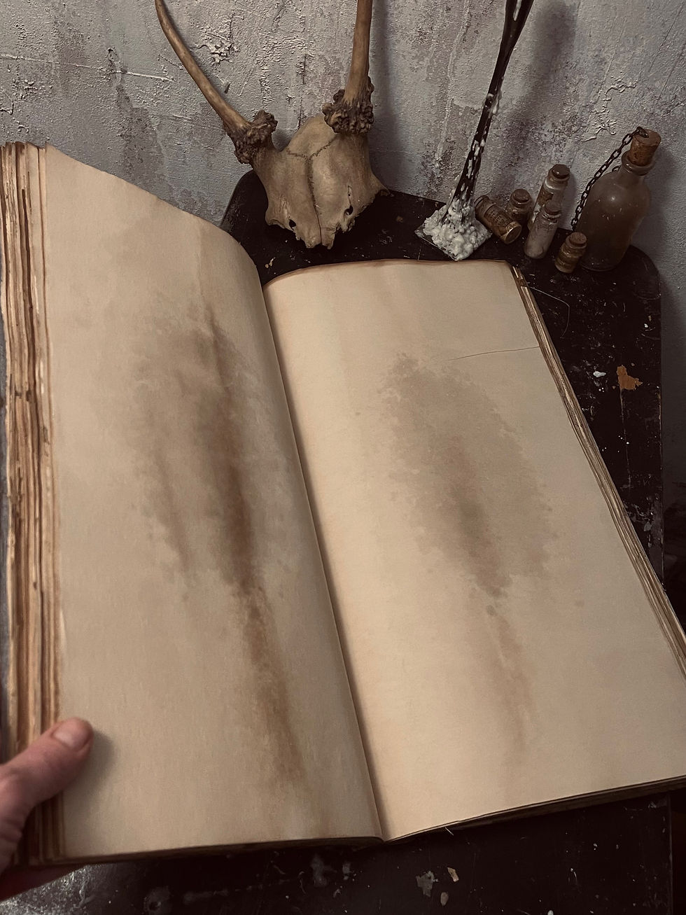 Thumbnail: Geimoire / Book of Shadows Zed