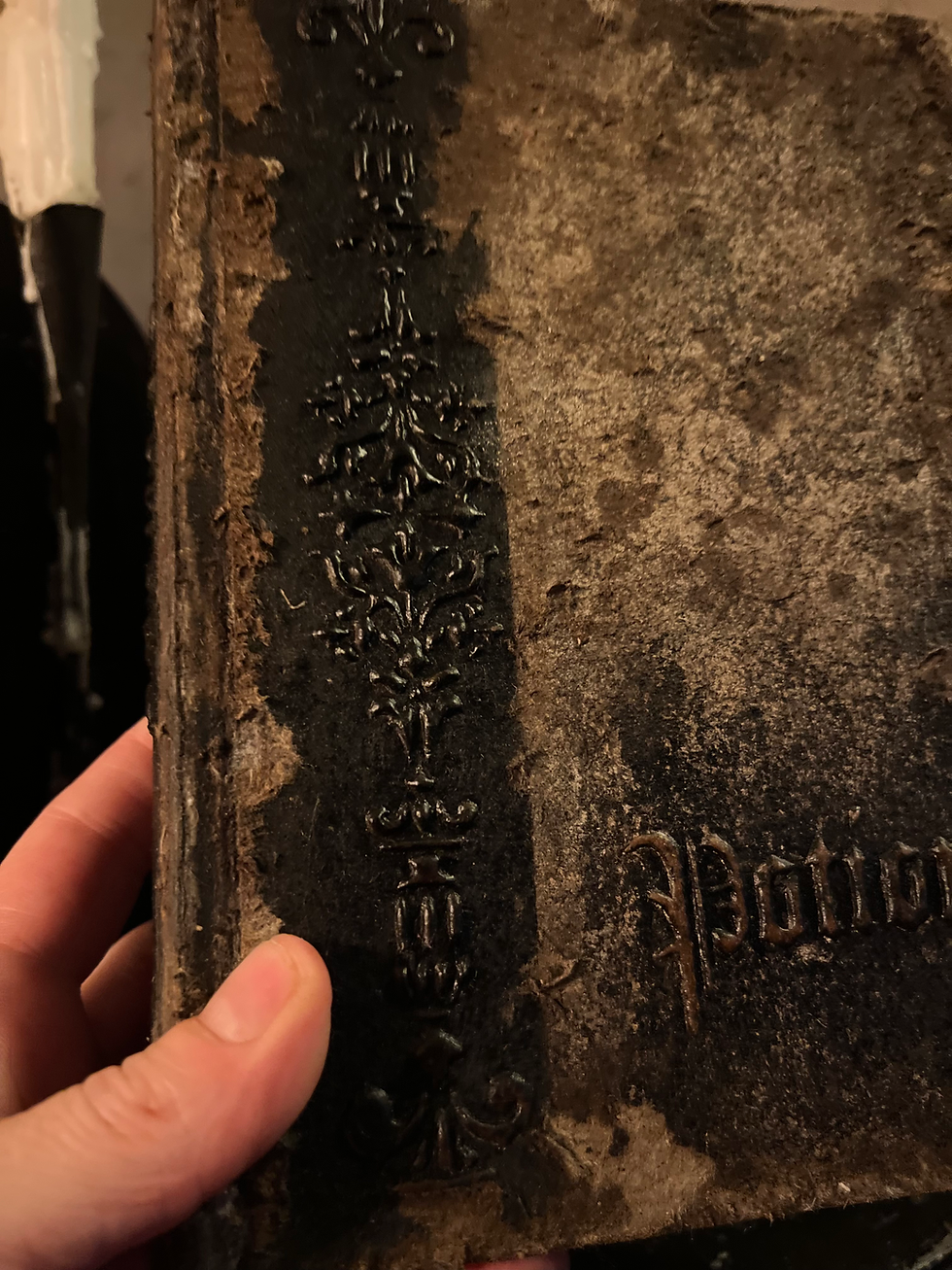 Thumbnail: Grimoire / Book of Spells Potions