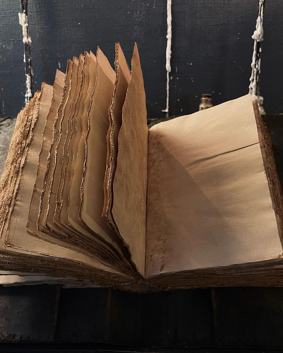 Thumbnail: Book of Shadows