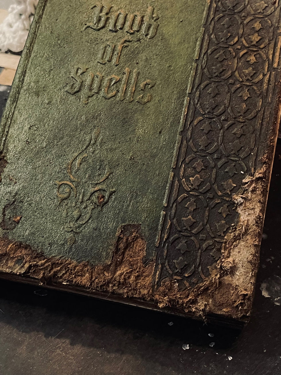 Thumbnail: Grimoire / Book of Shadows Dranyon
