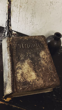 Thumbnail: Grimoire/ Book of Shadows XXX