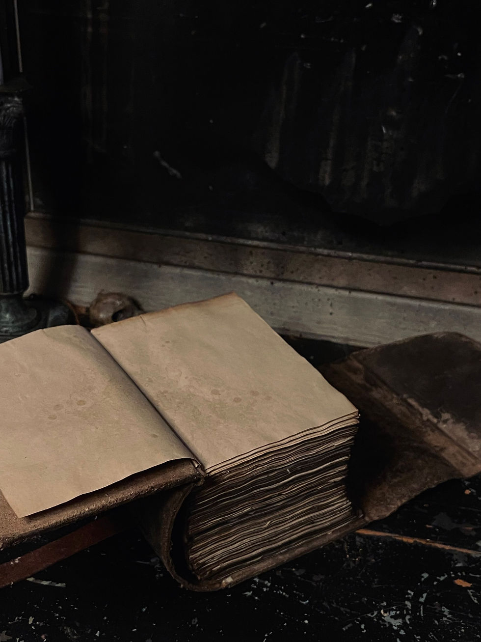 Thumbnail: Grimoire / Book of Shadows Lilith IV