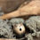 Thumbnail: grimmalkin cold porcelaine sculpture cat ghost